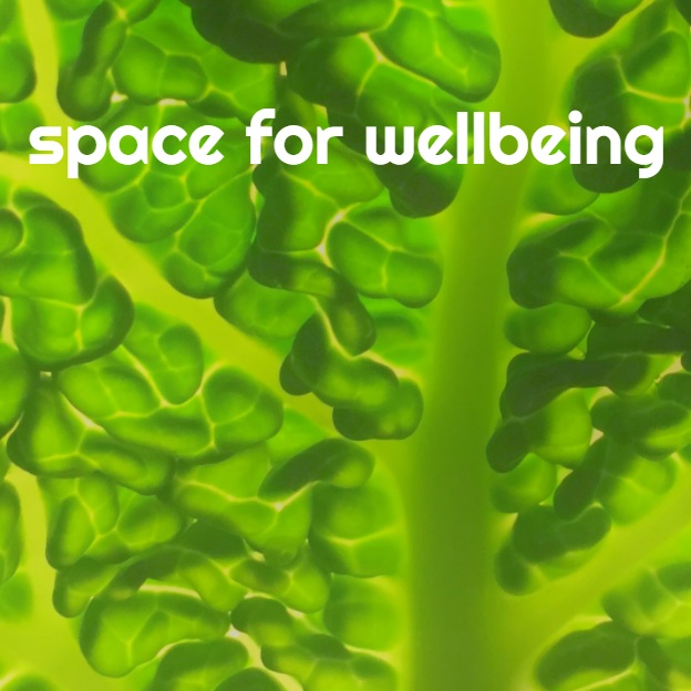 space for wellbeing text